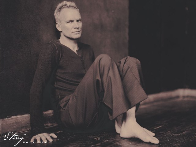 Sting,_Brand_New_Day.jpg